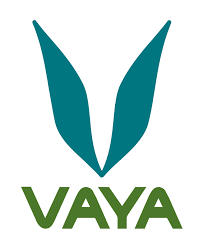 Vaya Logo